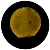 Processes 13 04037 i006