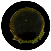 Processes 13 04037 i010