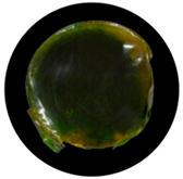 Processes 13 04037 i011