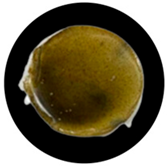 Processes 13 04037 i014