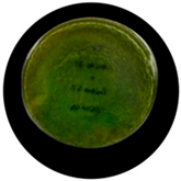 Processes 13 04037 i023