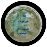 Processes 13 04037 i024