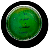 Processes 13 04037 i026