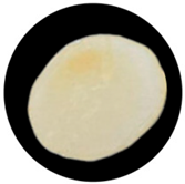 Processes 13 04037 i027