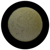 Processes 13 04037 i029