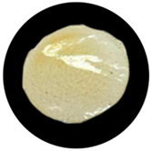 Processes 13 04037 i031