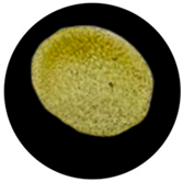 Processes 13 04037 i033