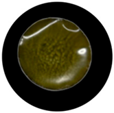 Processes 13 04037 i034