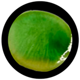 Processes 13 04037 i038