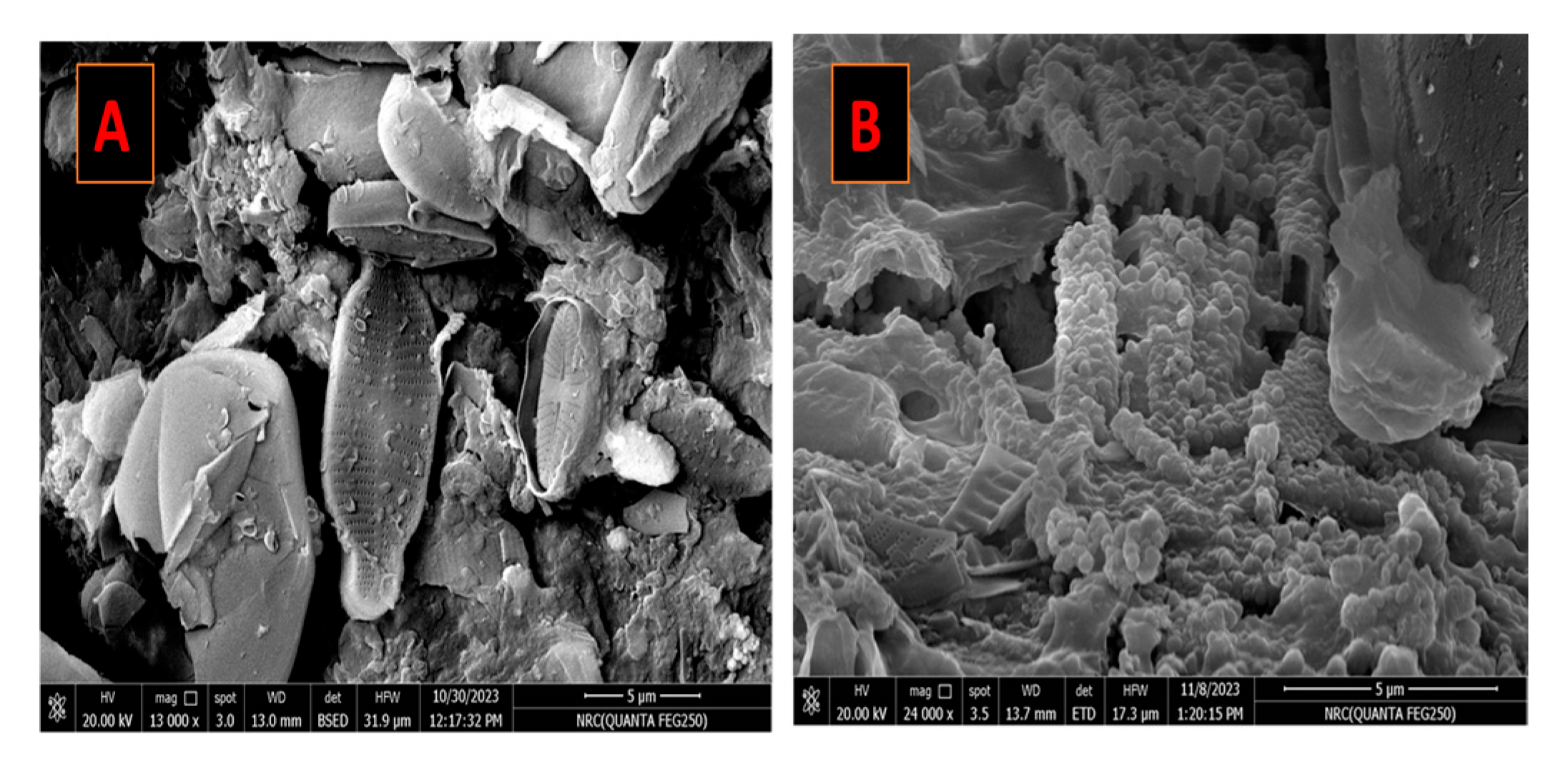 Processes 13 04042 g006 Processes 13 04042 g006