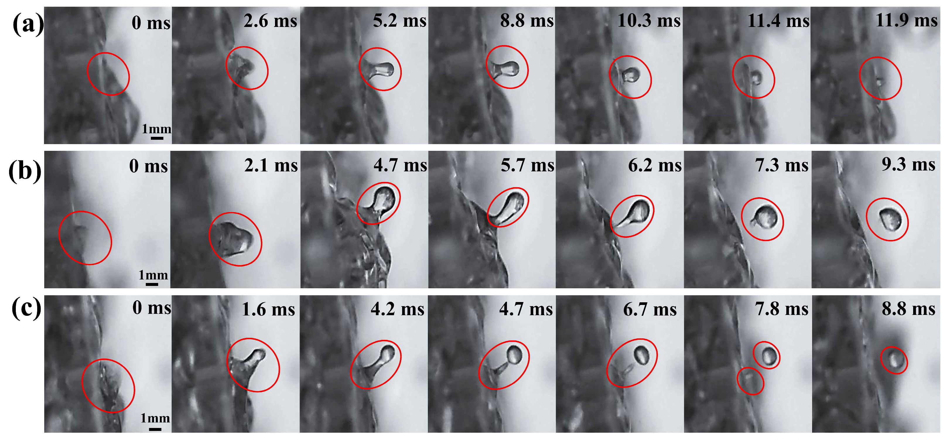 Processes 13 04050 g008 Processes 13 04050 g008