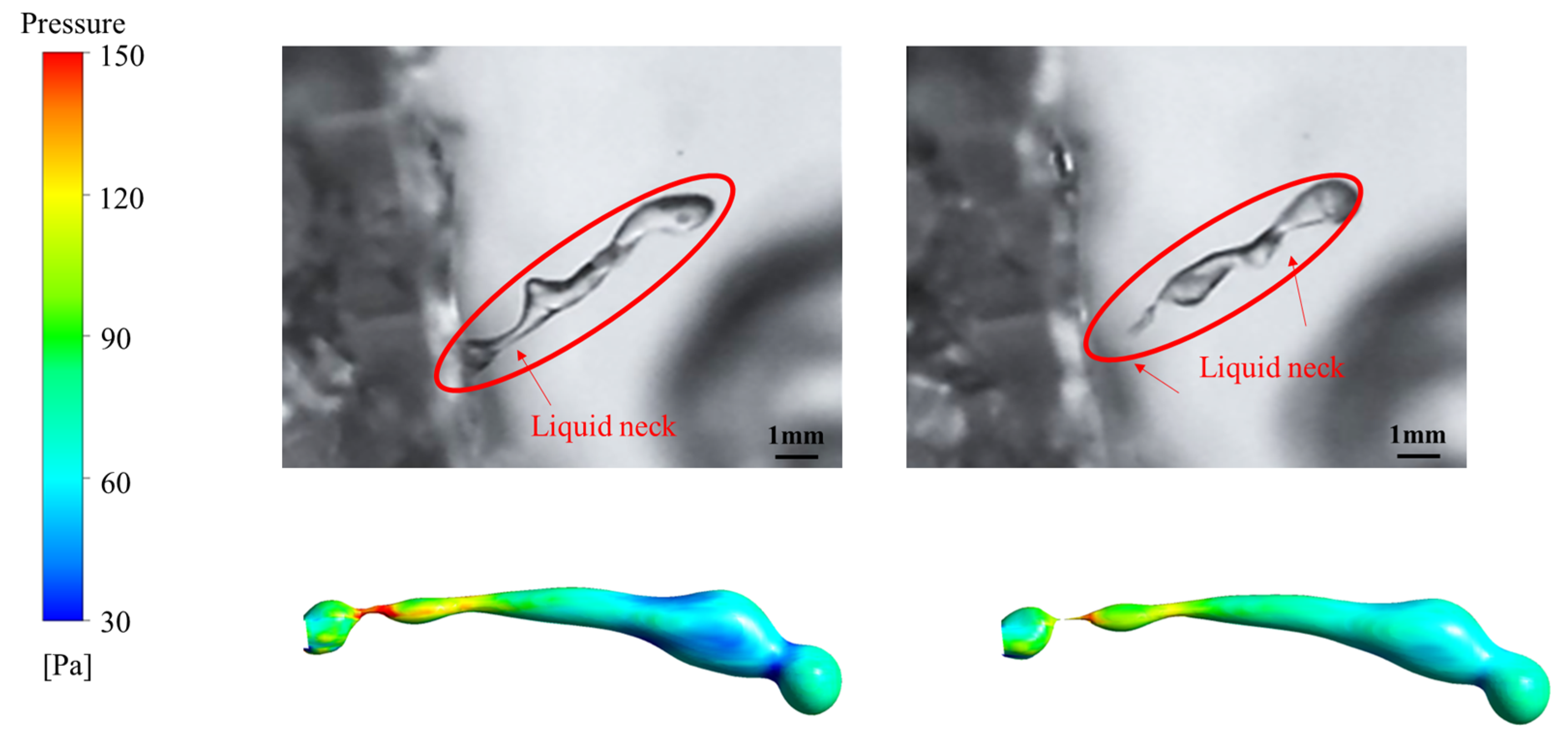 Processes 13 04050 g013 Processes 13 04050 g013