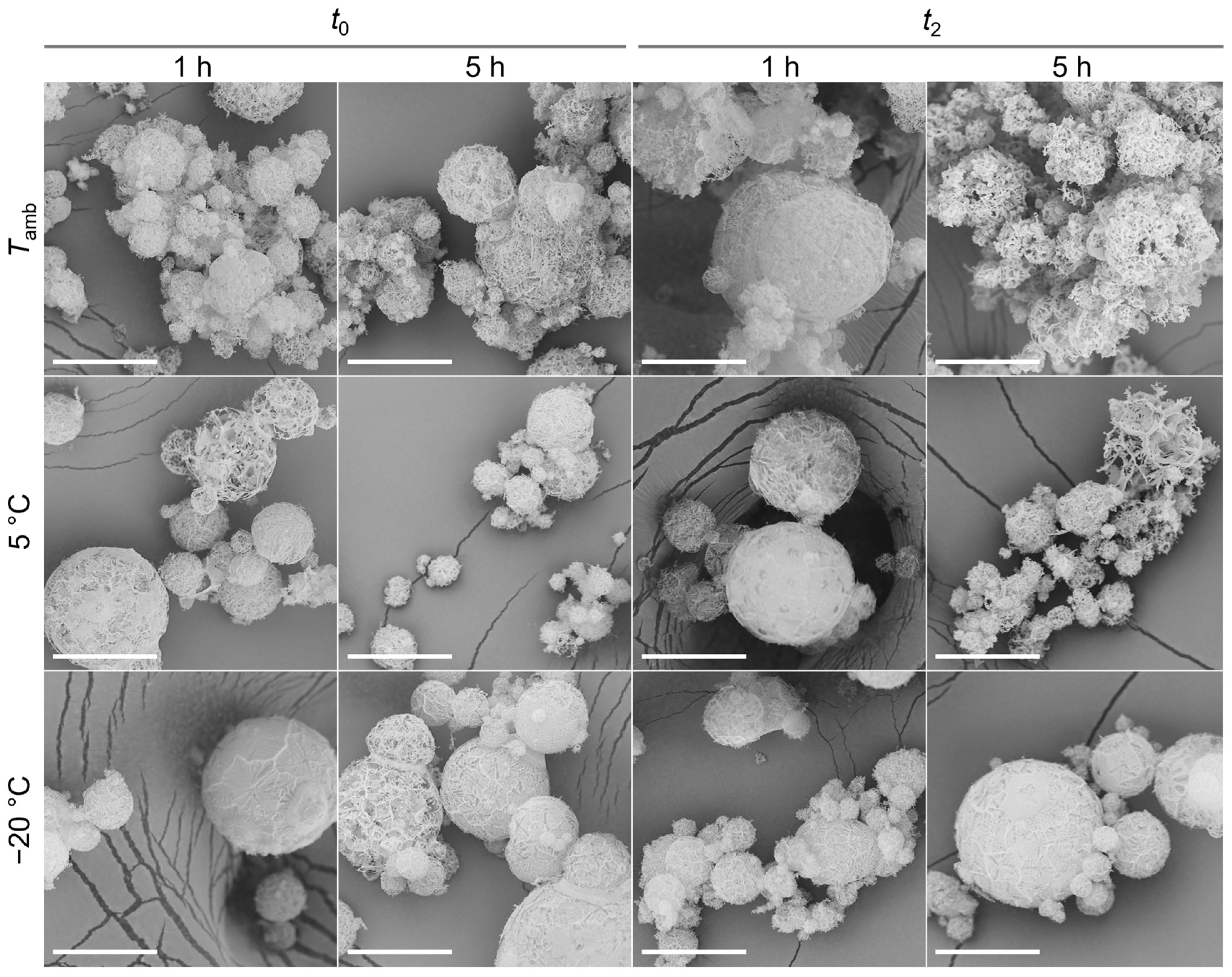 Processes 14 00006 g001