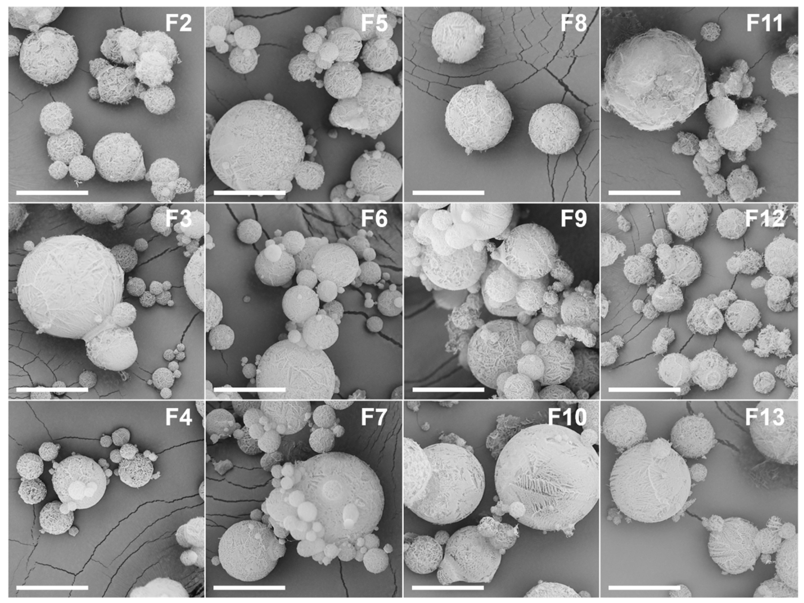 Processes 14 00006 g003
