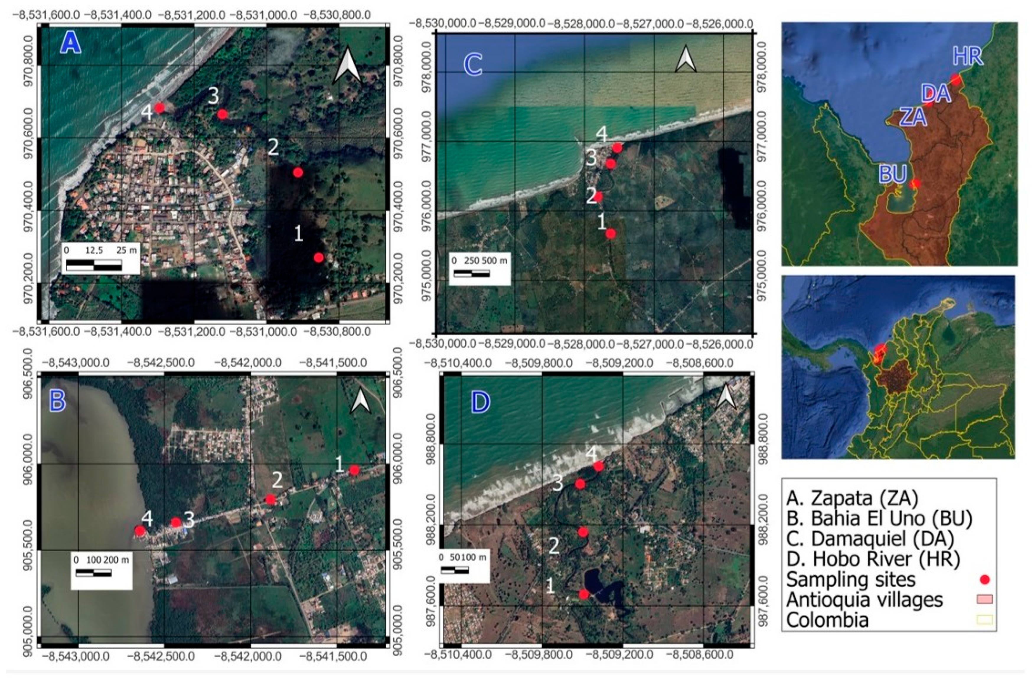 Processes 14 00035 g001