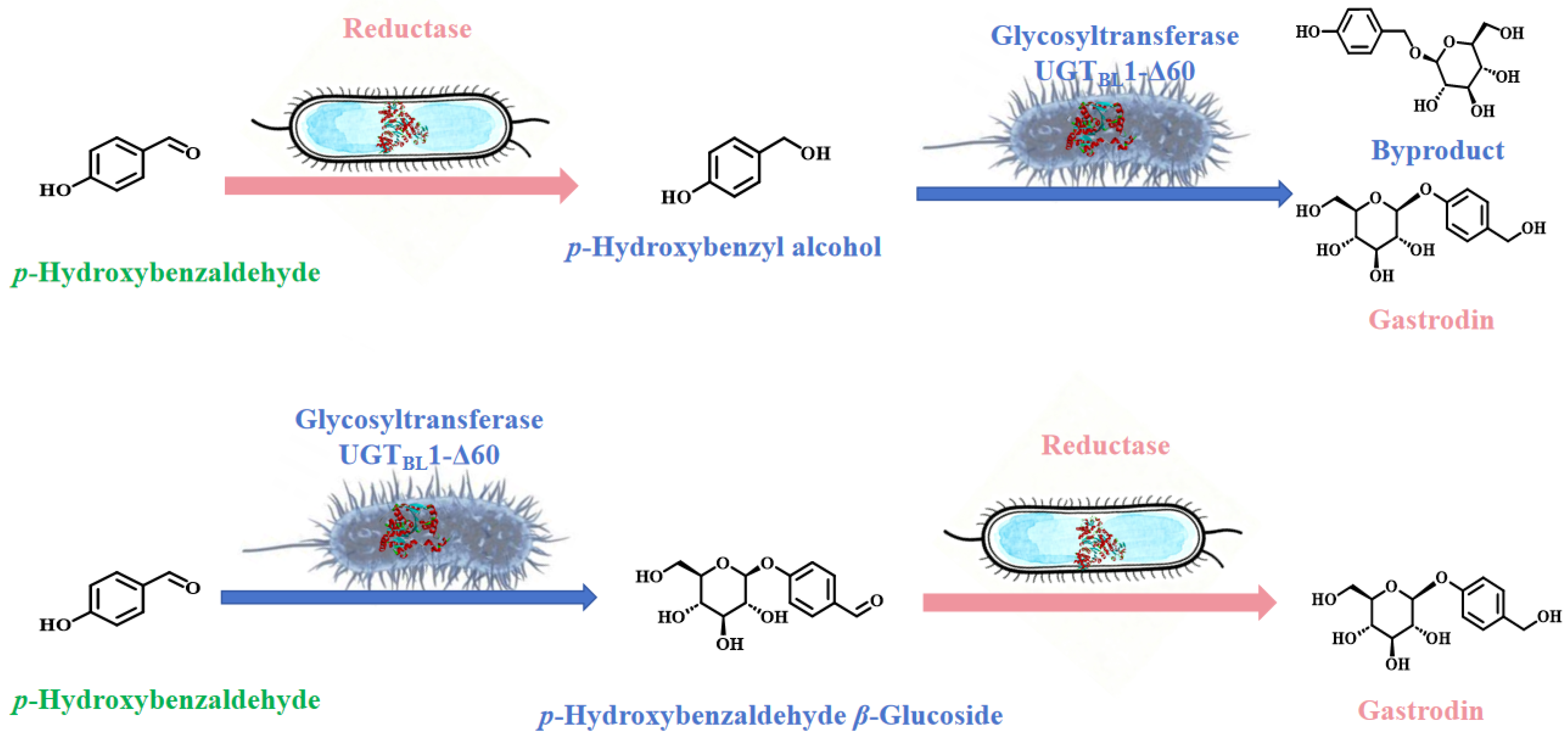 Processes 14 00055 g001