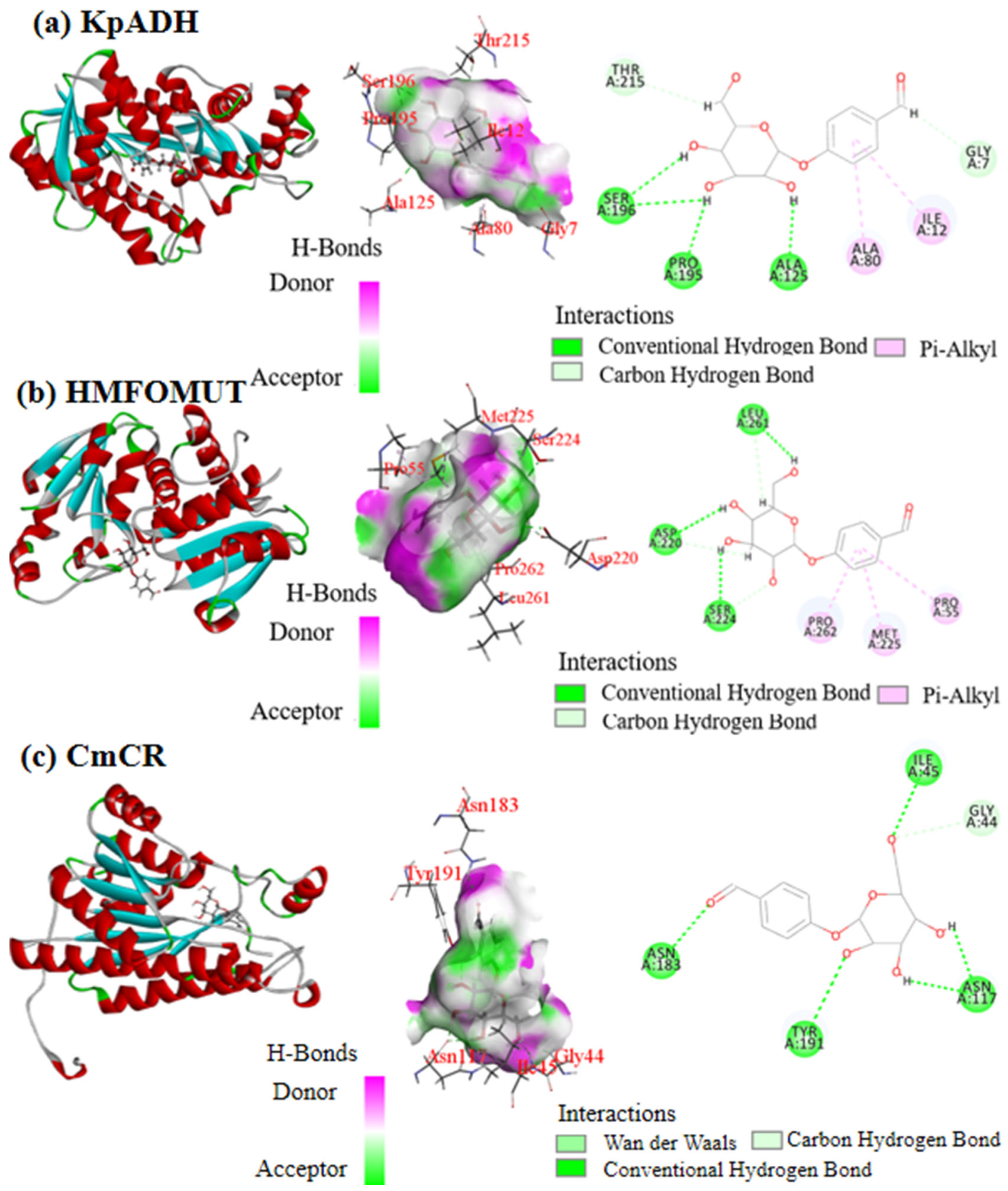 Processes 14 00055 g003