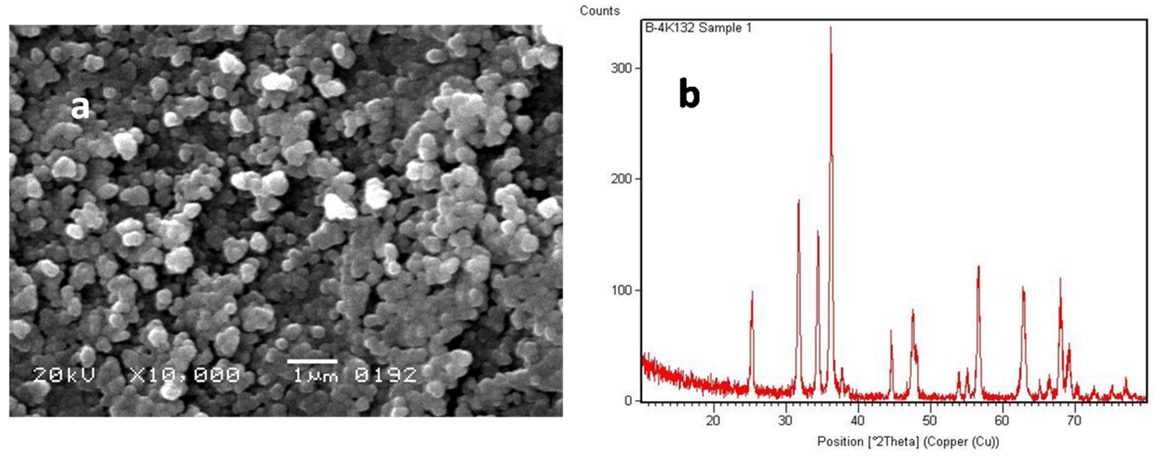 Processes 14 00081 g004