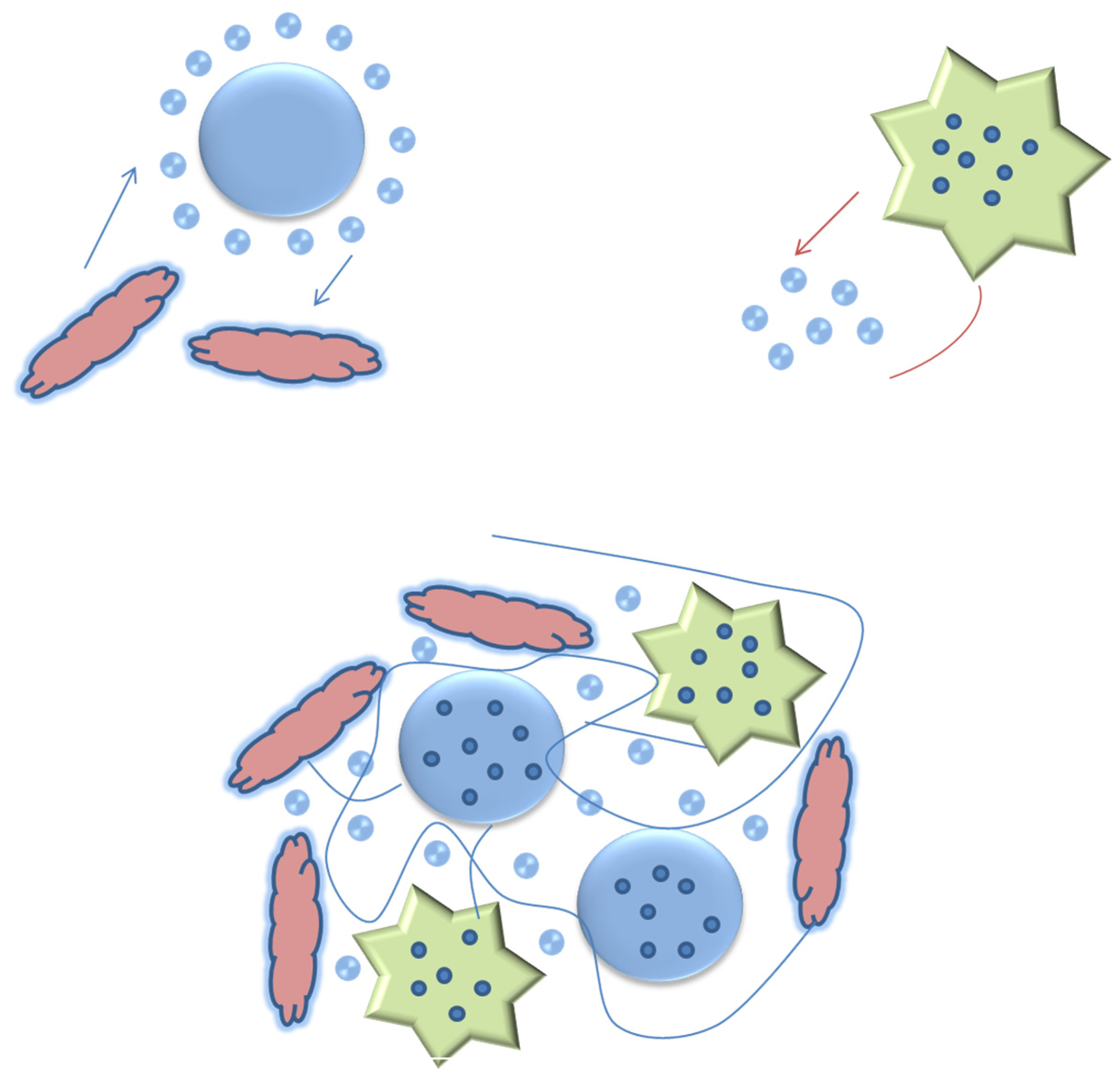 Processes 14 00081 g010