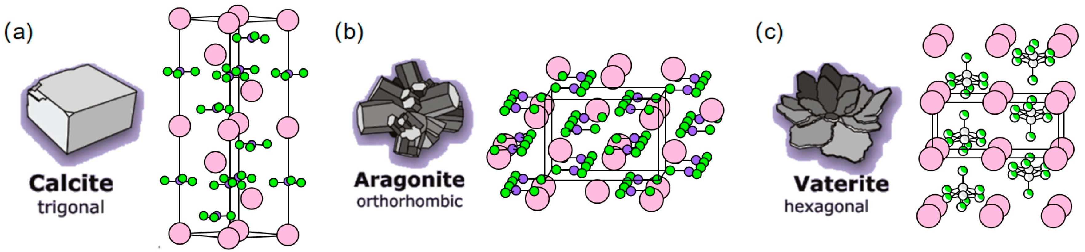 Processes 14 00097 g001