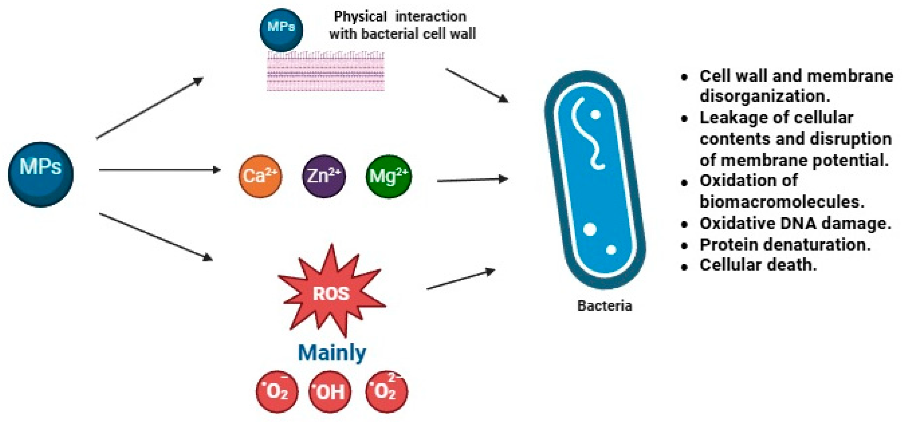 Processes 14 00101 g008