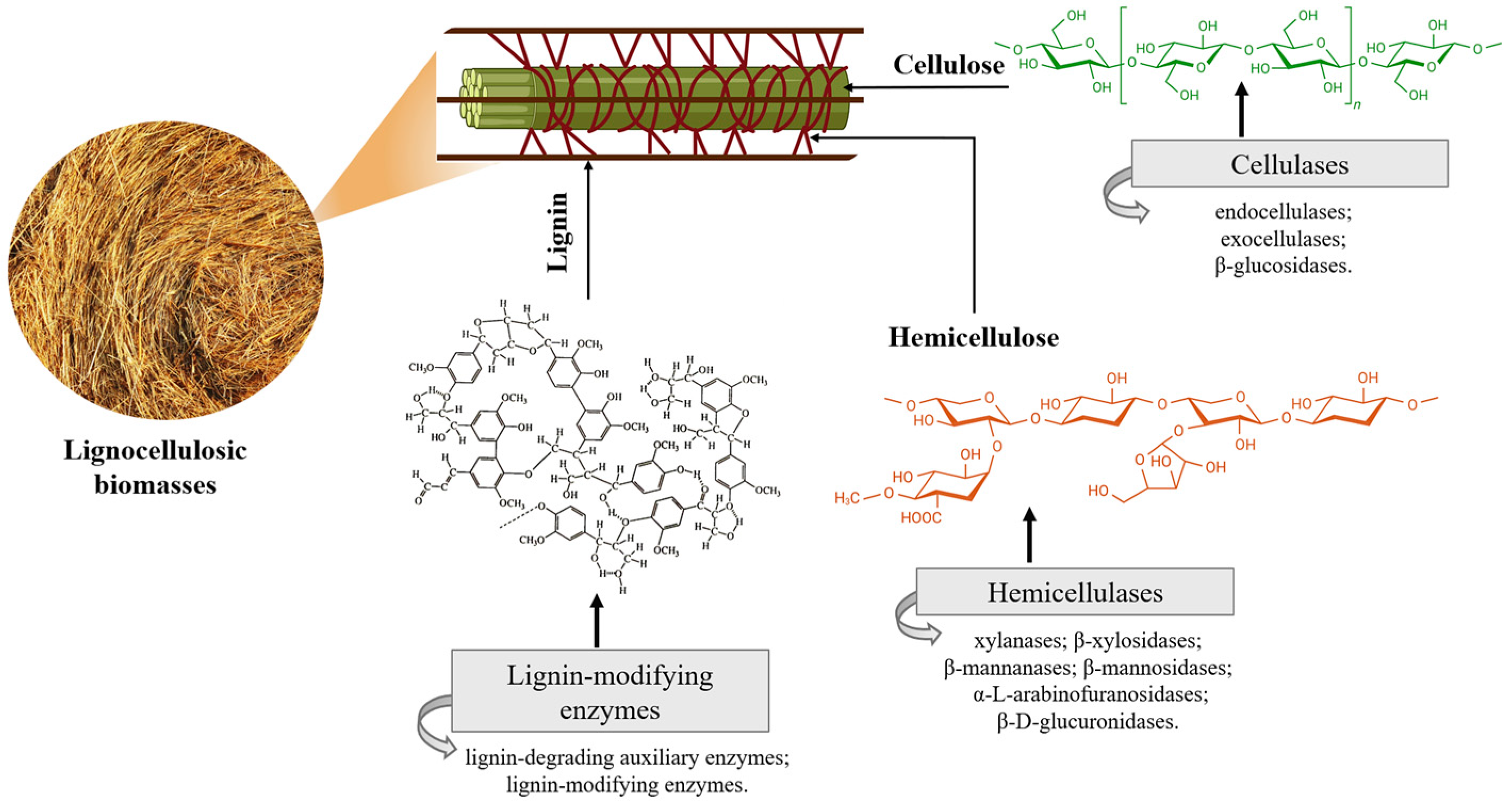 Processes 14 00112 g001