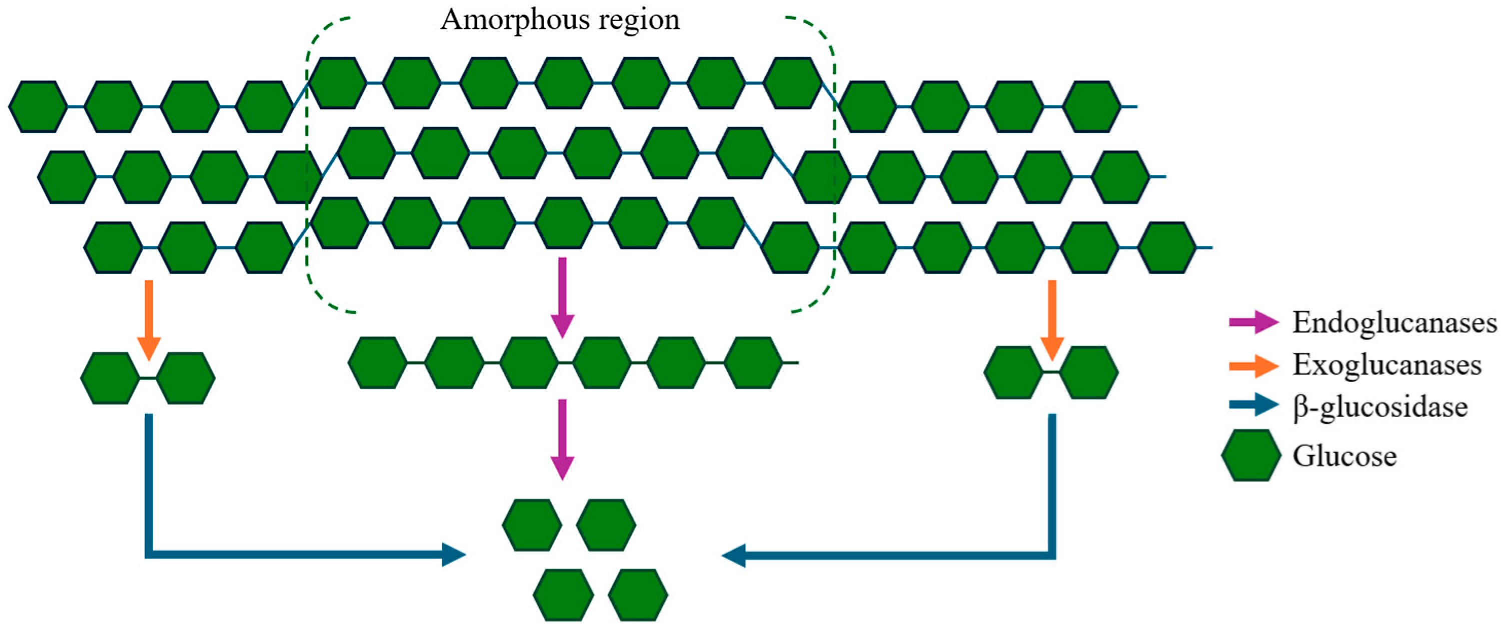 Processes 14 00112 g002