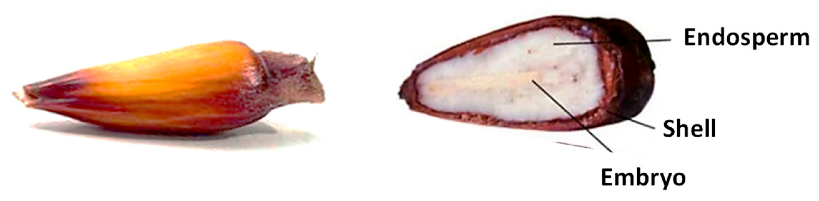 Processes 14 00119 g001