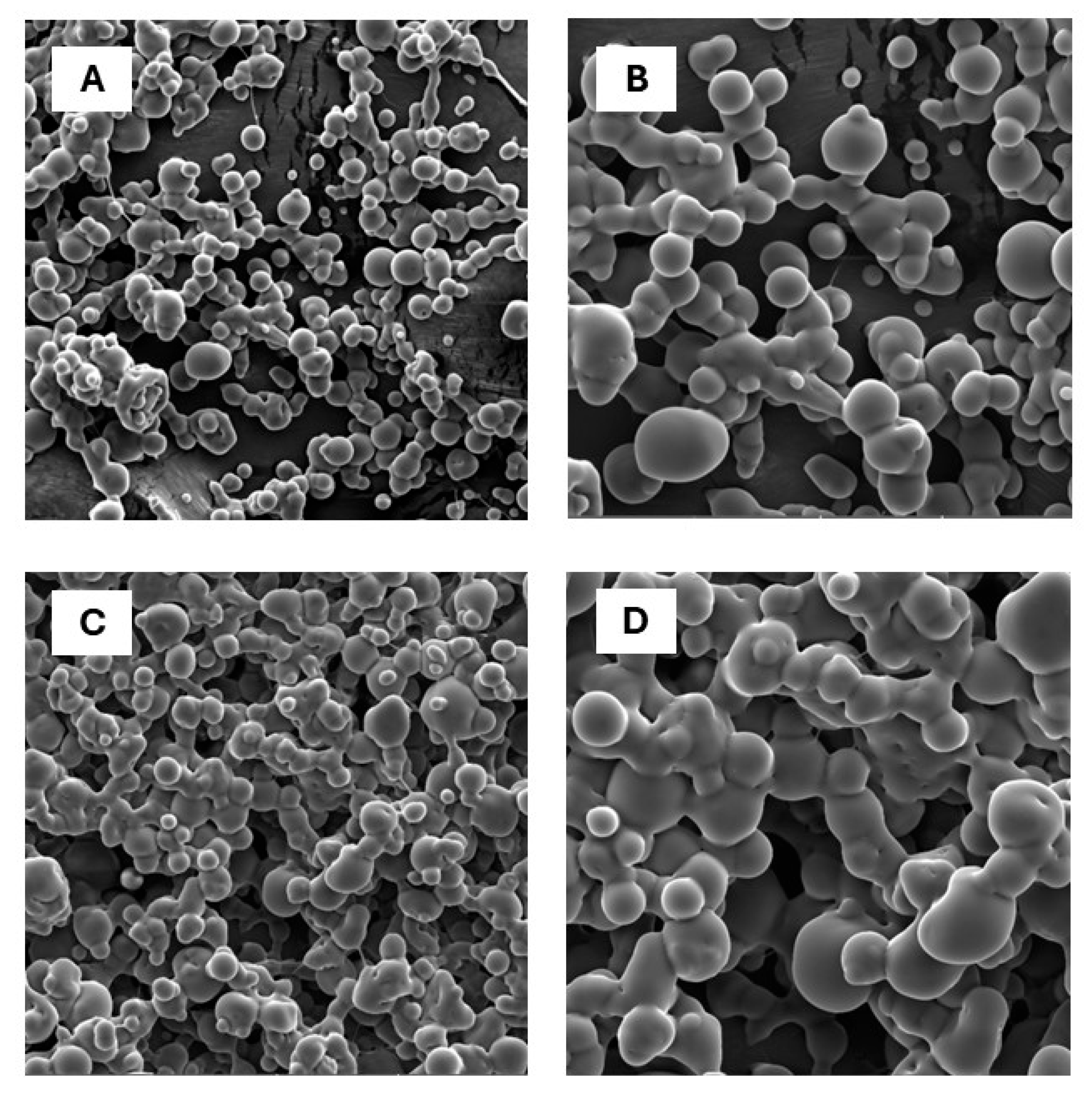 Processes 14 00119 g003