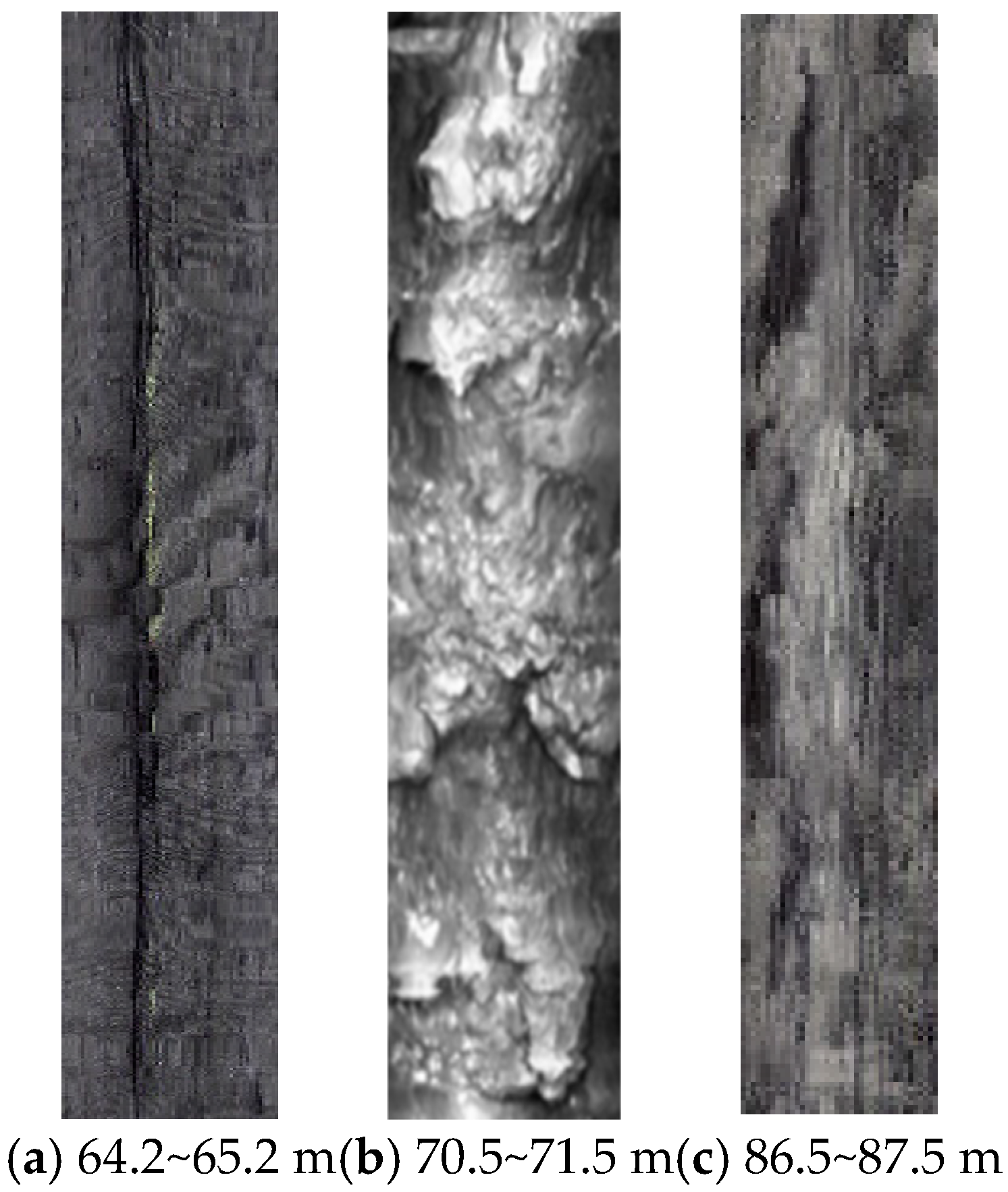 Processes 14 00121 g015