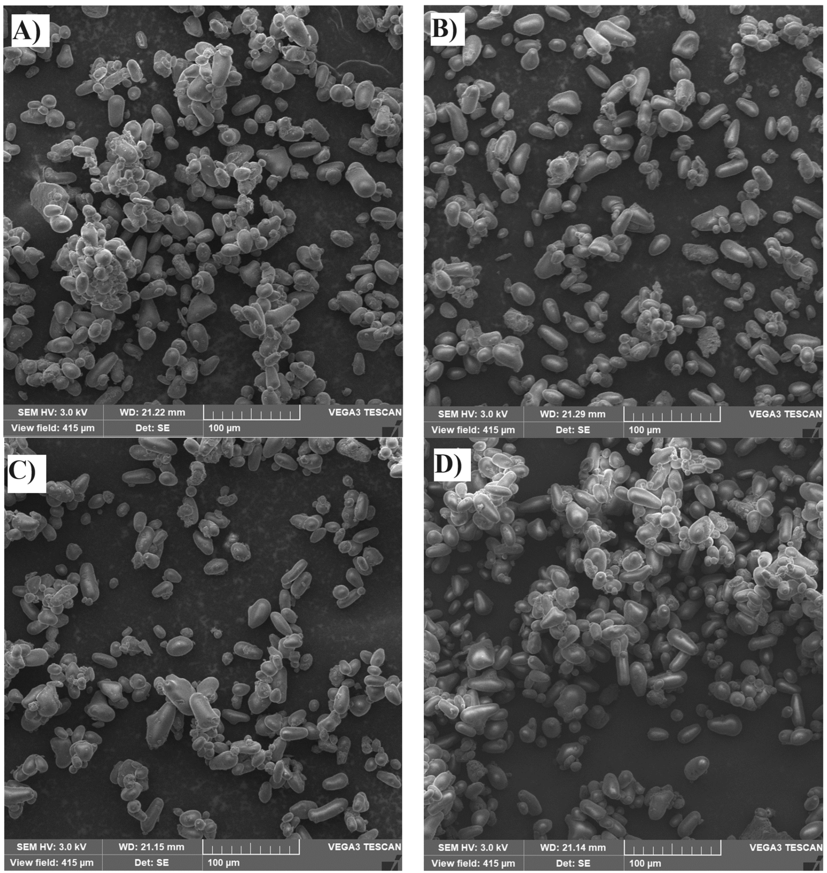 Processes 14 00122 g005