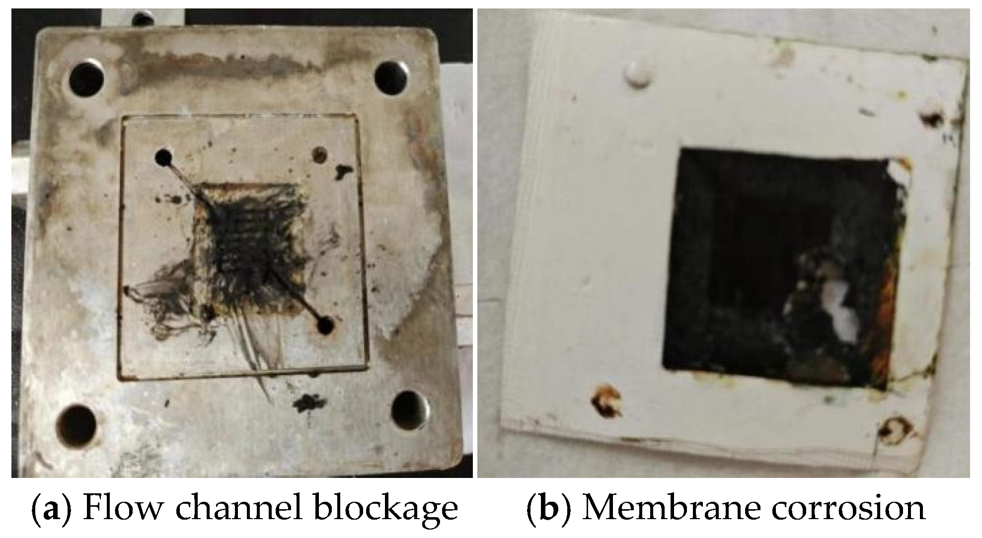 Processes 14 00173 g014