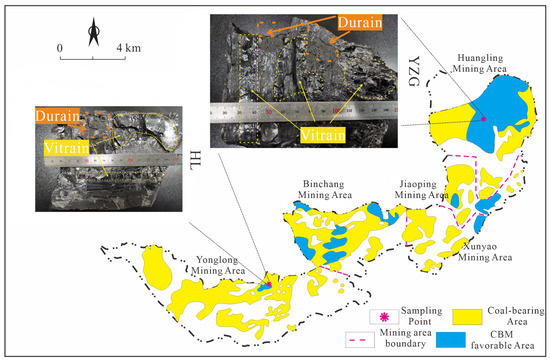 Effect of Structural and Wettability Differences Between Low-Rank