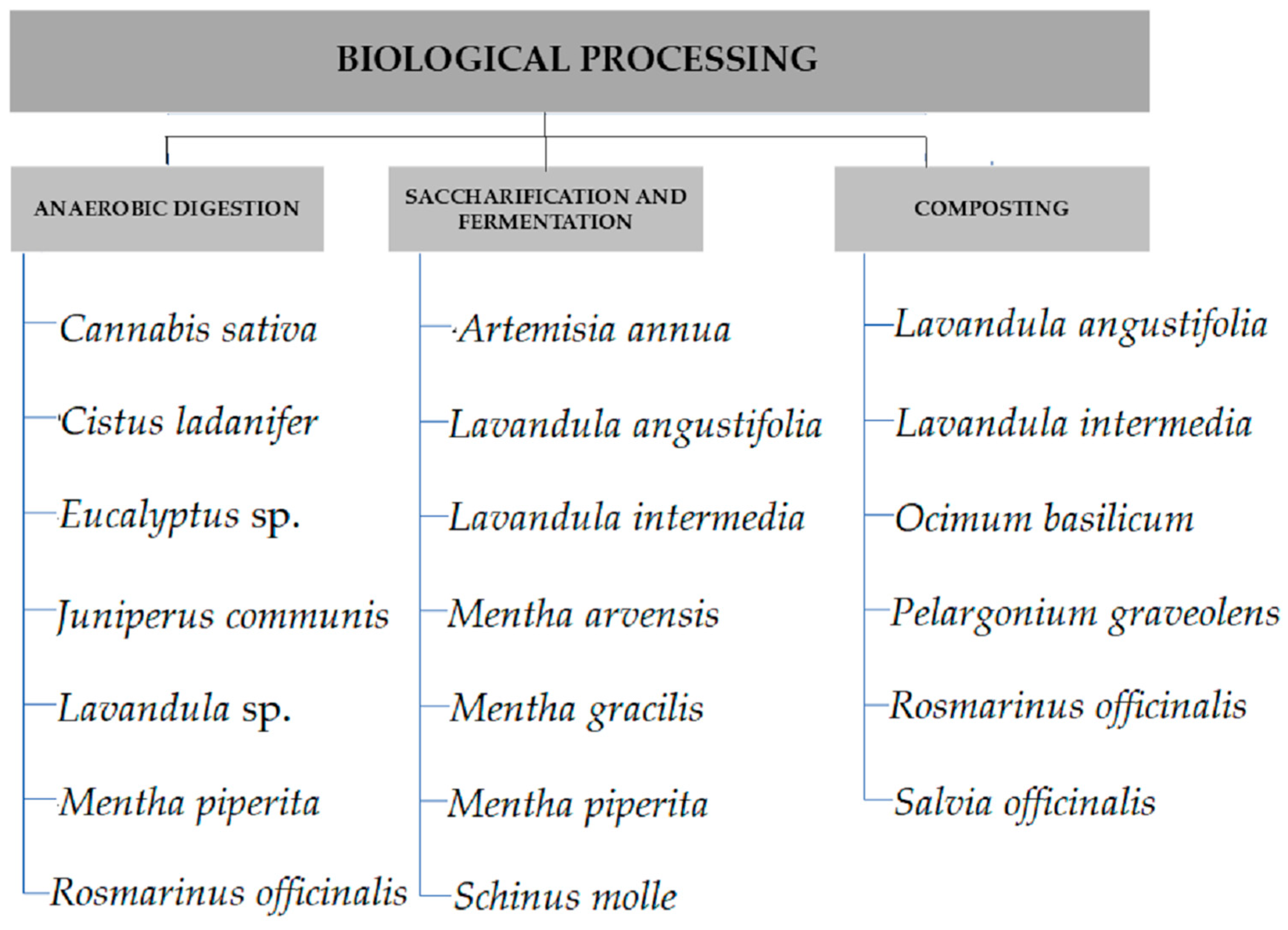 Processes 14 00244 g003