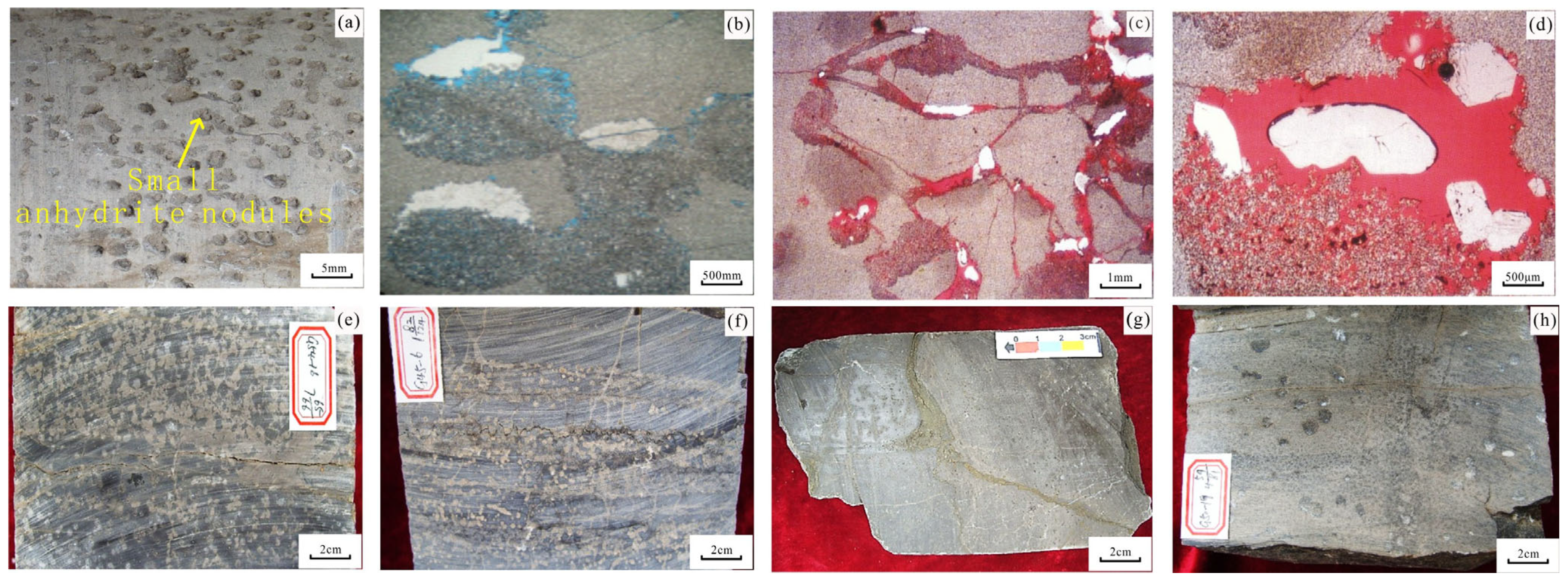 Processes 14 00275 g003