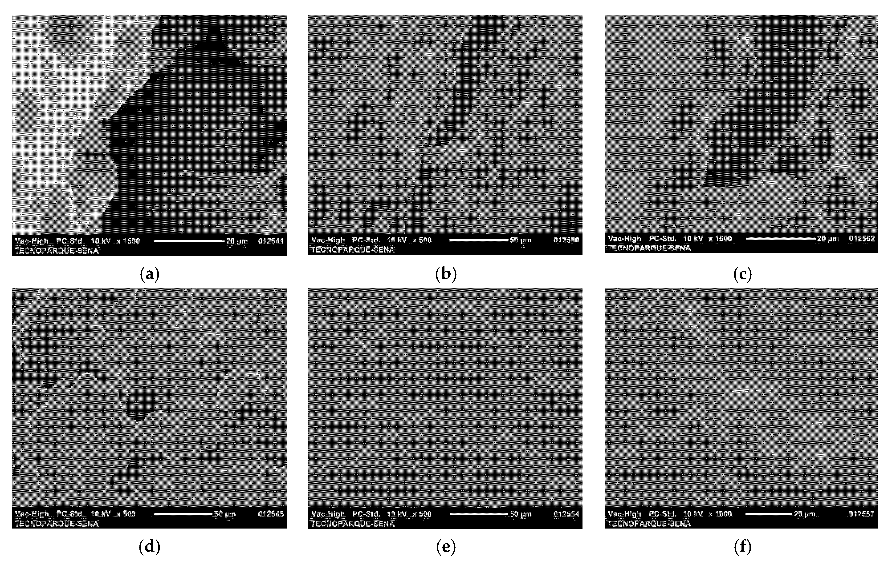 Processes 14 00276 g006