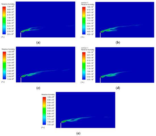 Numerical Simulation of Tritiated Water Transfer by Moist Air in