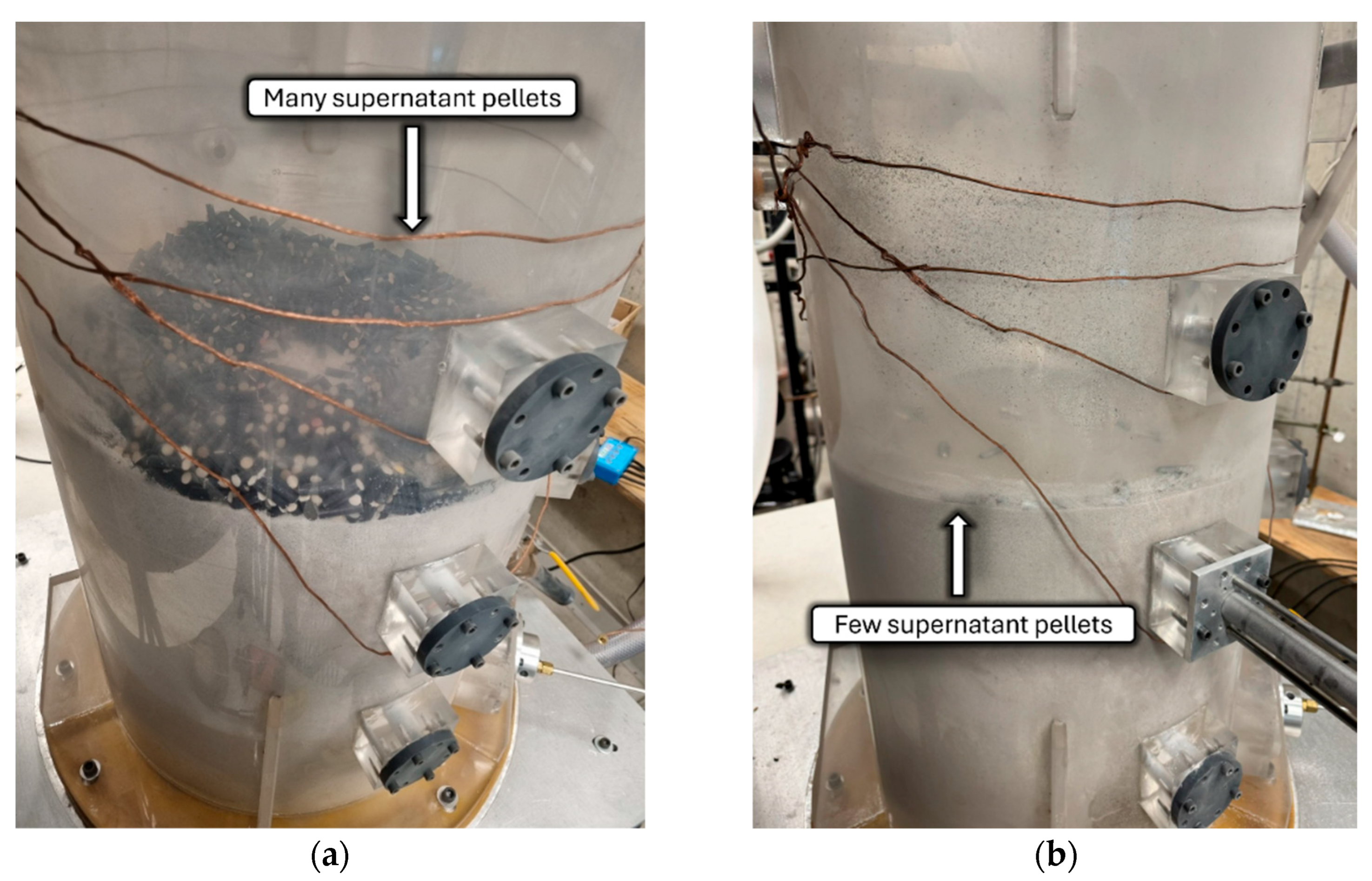 Processes 14 00291 g004