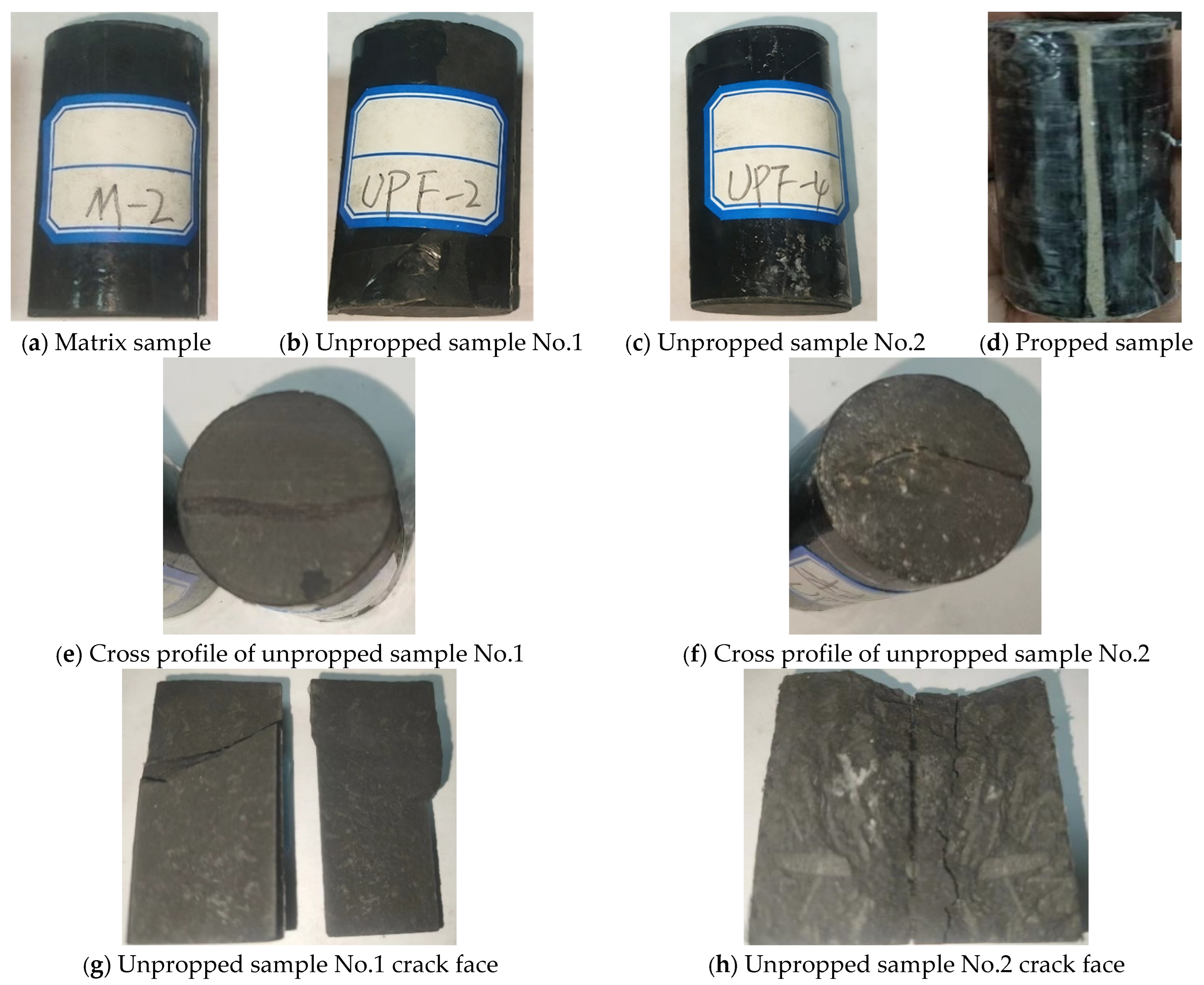 Processes 14 00325 g003 Processes 14 00325 g003