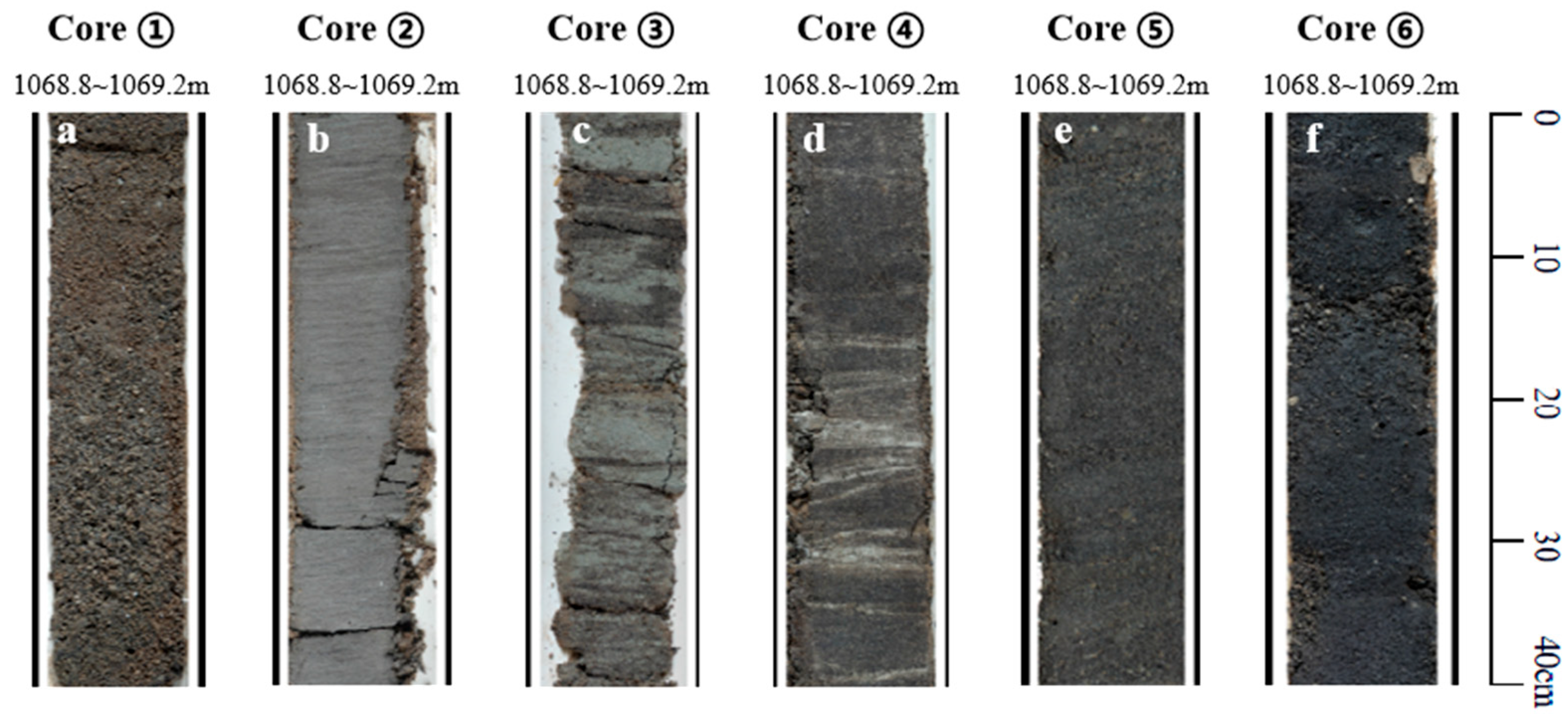 Processes 14 00359 g006