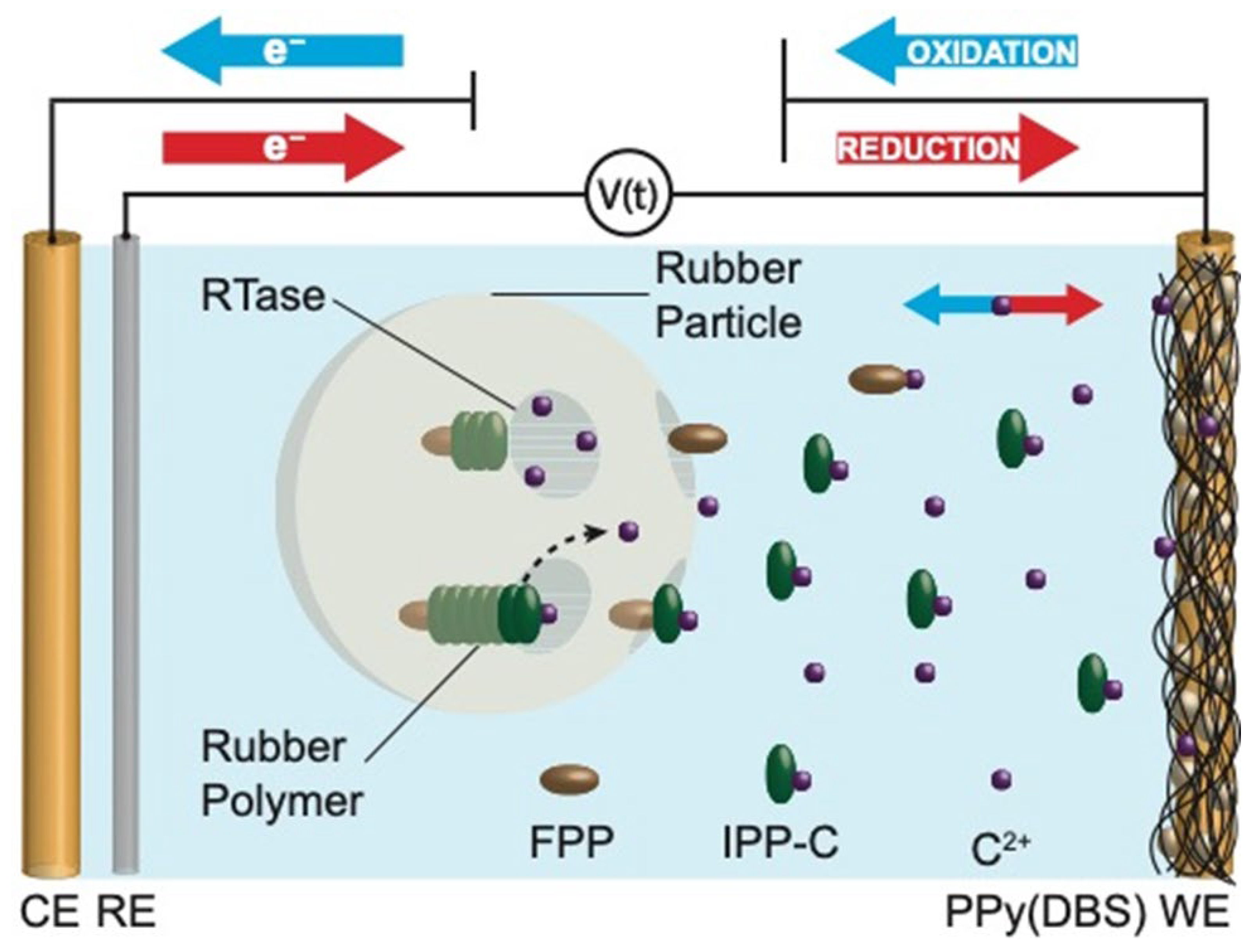 Processes 14 00374 g001 Processes 14 00374 g001