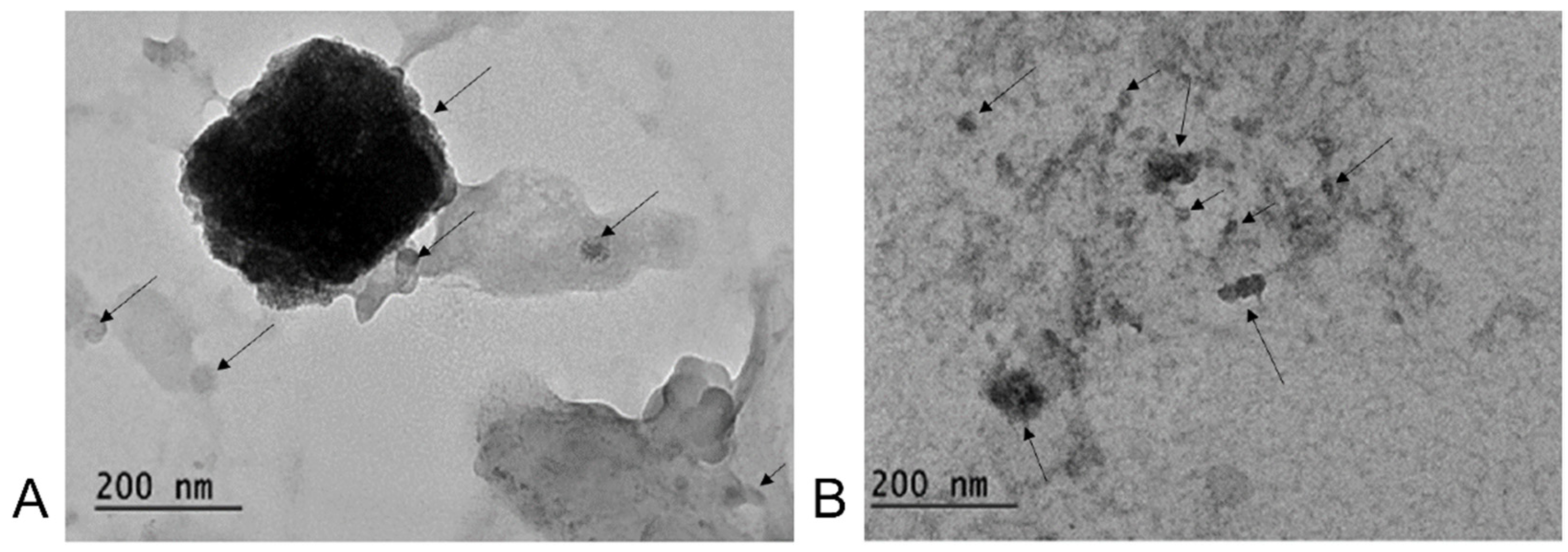 Processes 14 00393 g013 Processes 14 00393 g013