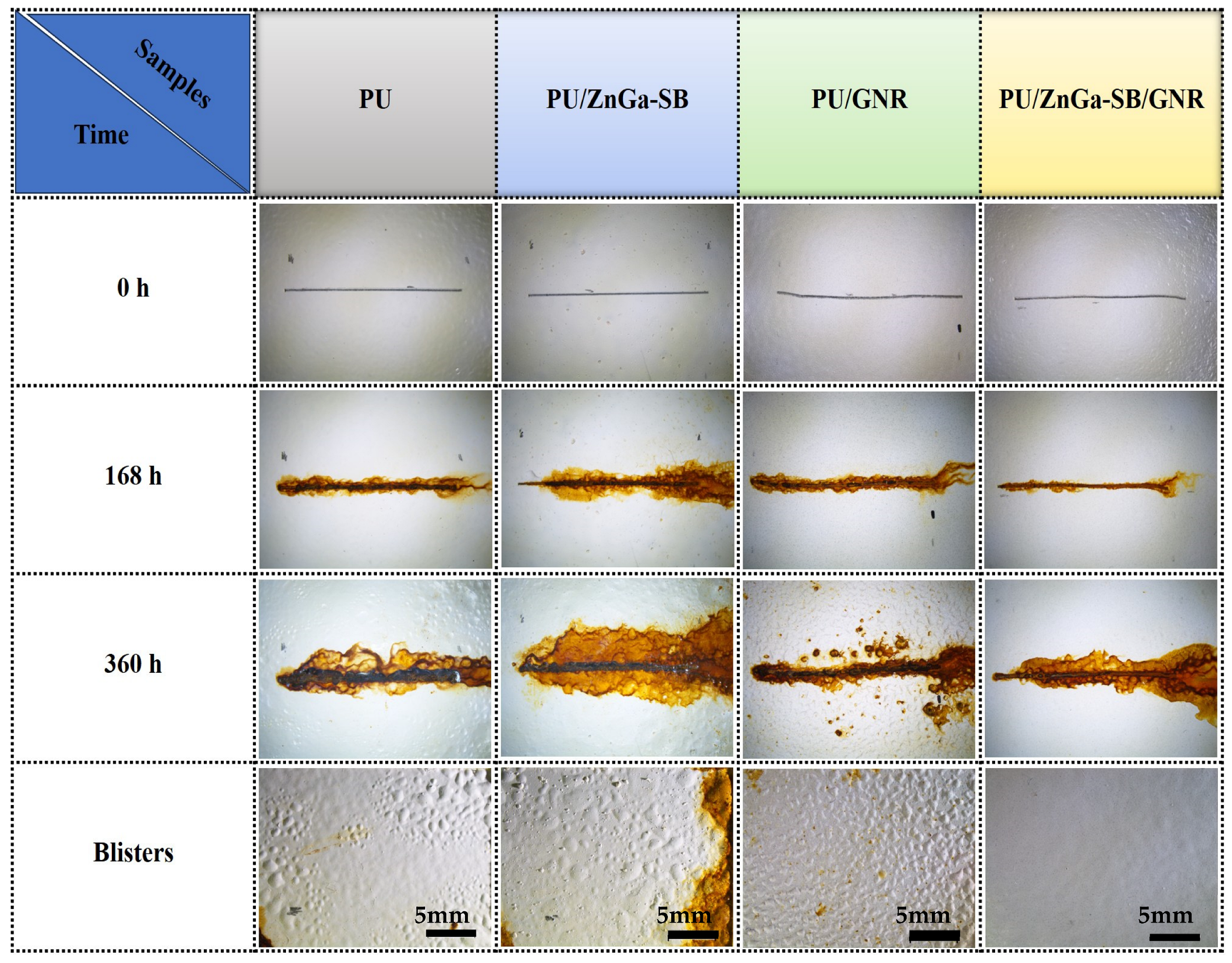 Processes 14 00400 g012