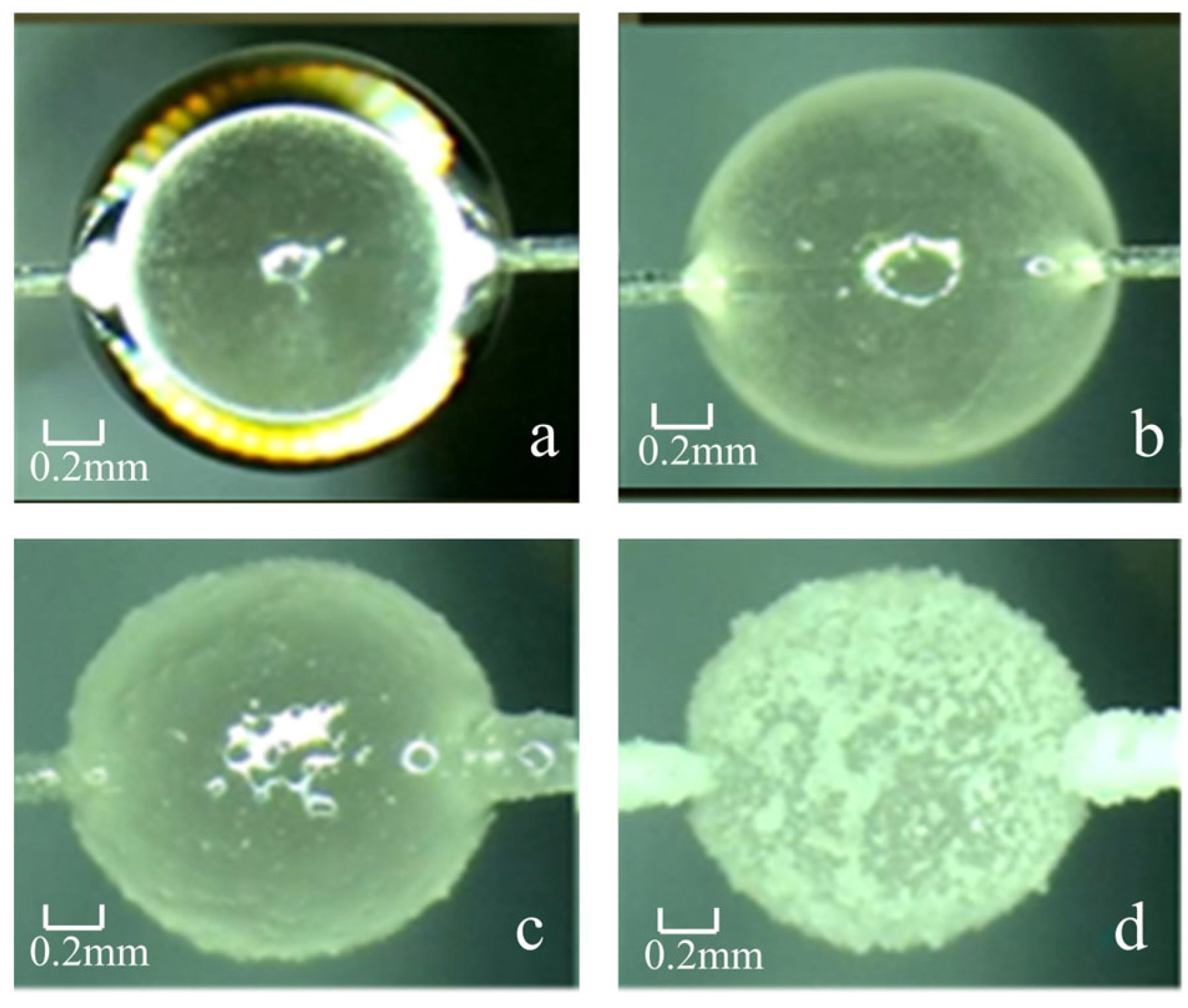 Processes 14 00402 g003