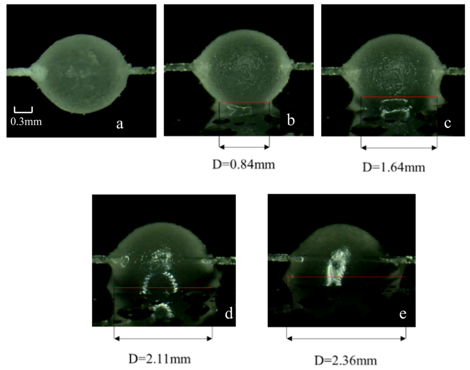 Processes 14 00402 g006