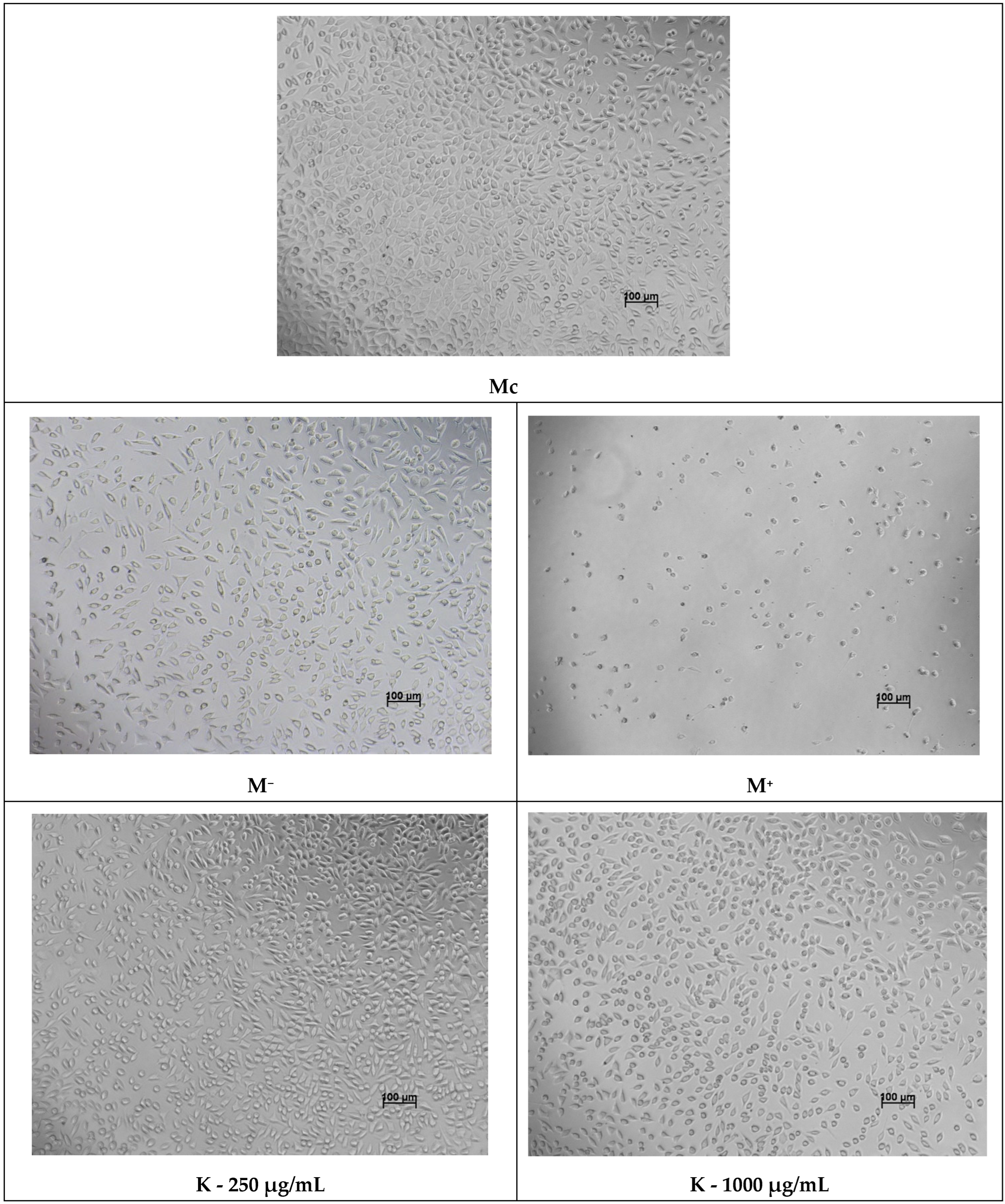 Processes 14 00409 g007a