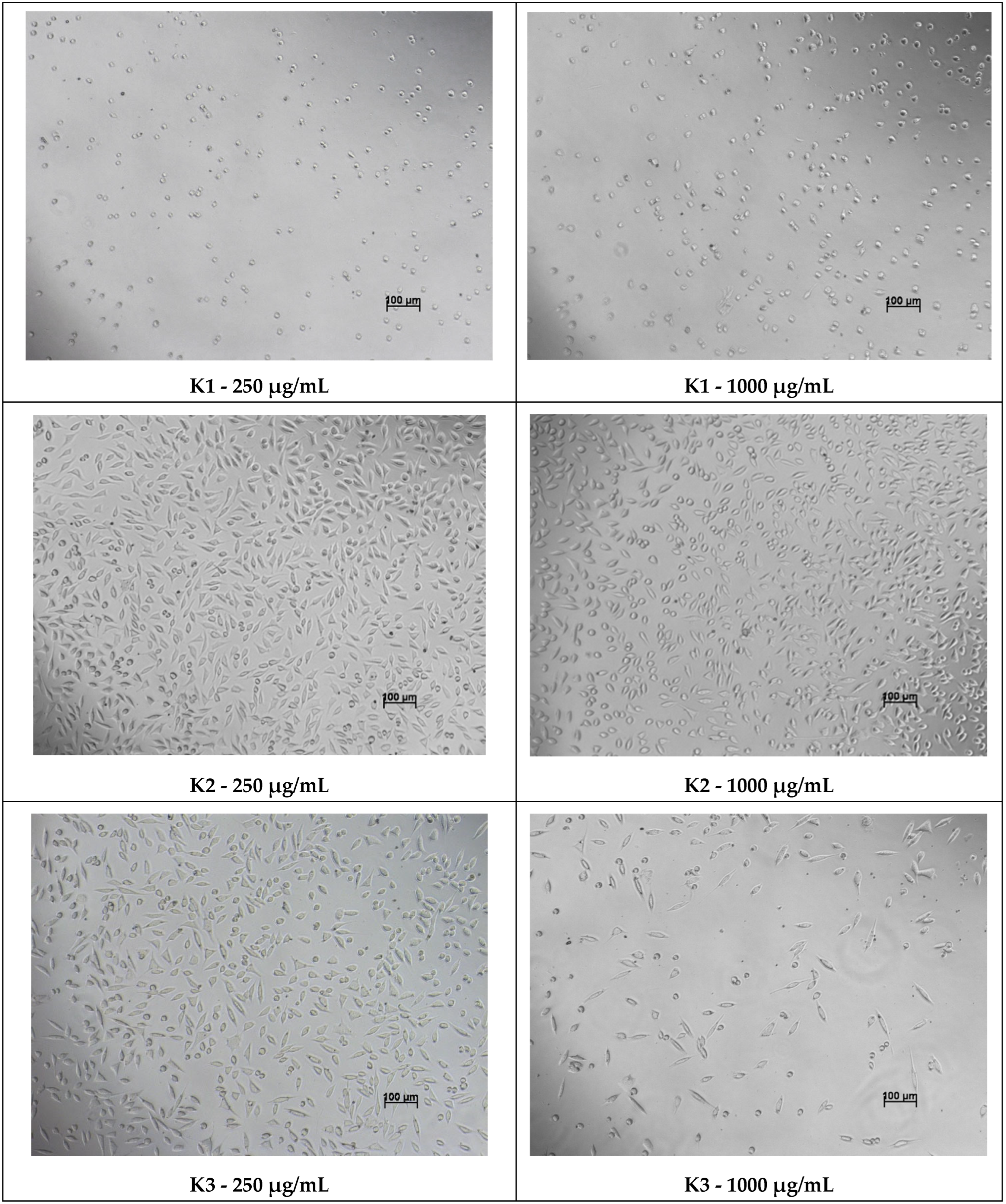 Processes 14 00409 g007b