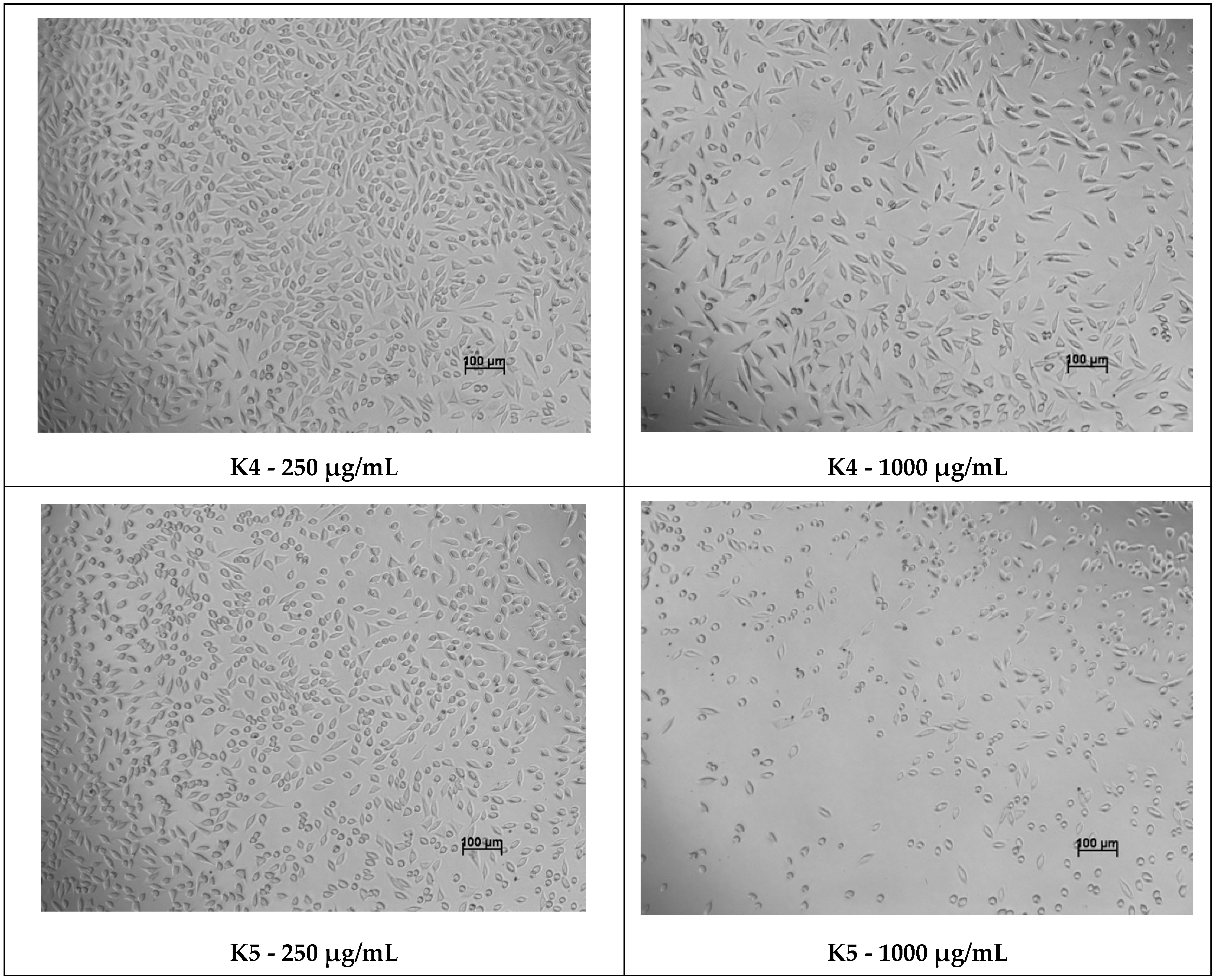 Processes 14 00409 g007c