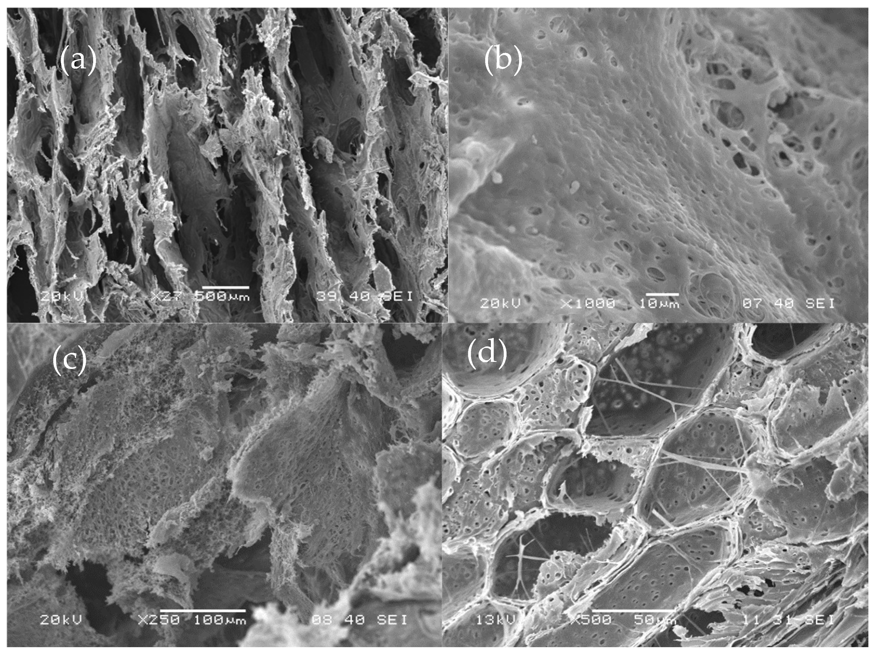 Processes 14 00415 g006