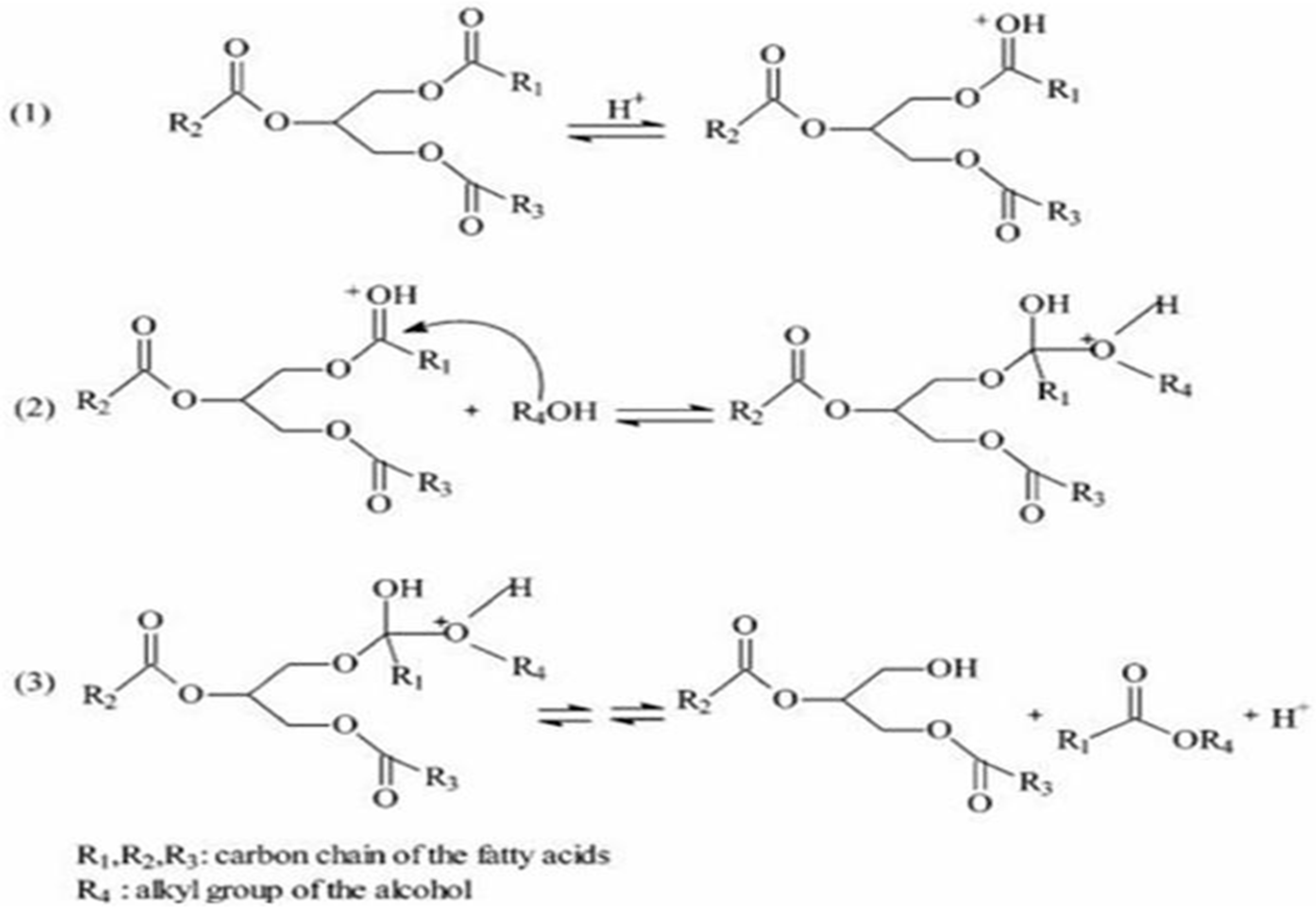 Processes 14 00441 g007